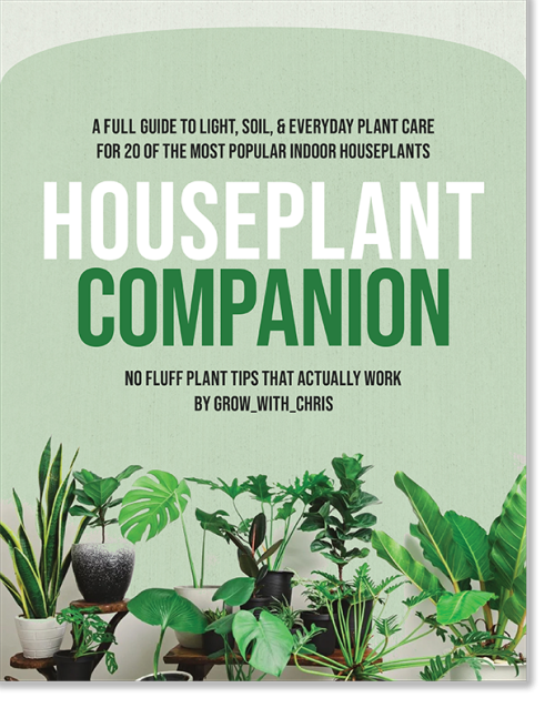 Houseplant Companion Cover